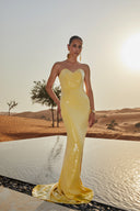 Aurea Strength Dress