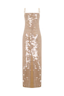 Golden Dust Dress