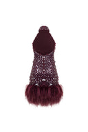 Crimson Reverie Mini Dress
