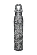 Veloura Gleam Dress