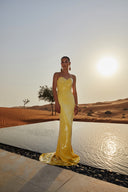 Aurea Strength Dress