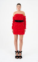 Red Roem Dress