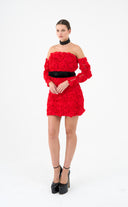 Red Roem Dress