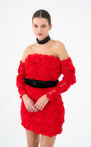 Red Roem Dress