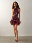Crimson Reverie Mini Dress