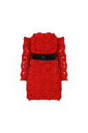 Red Roem Dress