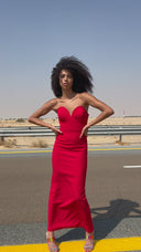 Rhapsody in Red Dress