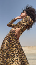 Leopard Luxe Dress